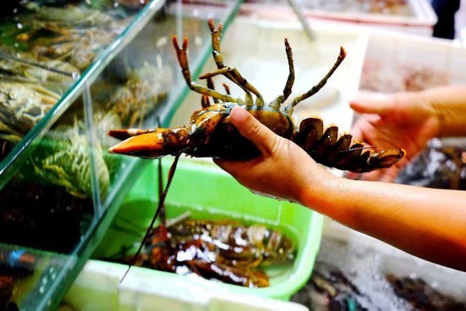 三亚美食攻略必吃排行榜,三亚南海文化旅游区美食攻略