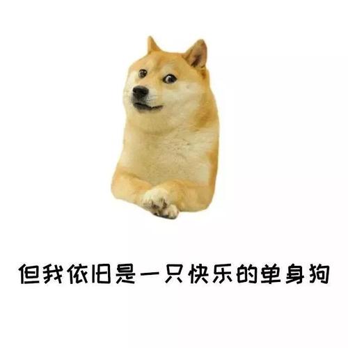 单身的人有多害怕,单身的你也要坚强