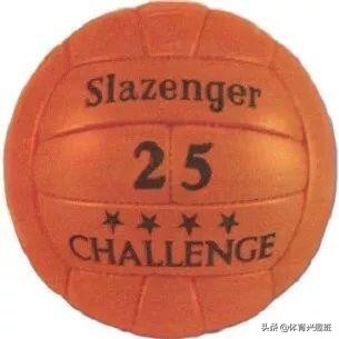 在“国宝”和“草芥”之间游走的加拿大“风之子”史蒂夫-纳什