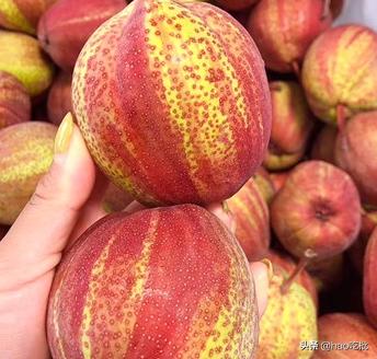 这个夏天绝不能错过的高营养水果,夏季最不容错过的4种水果