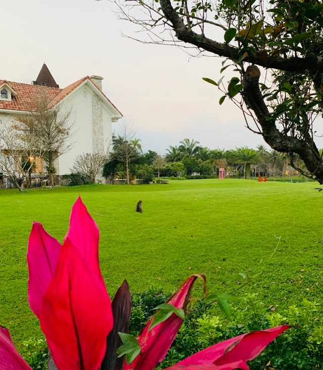 骑行台北到高雄多少公里,台北骑行到高雄