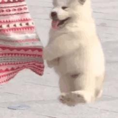 英语语法时间的表达方法,英语时间表达法的知识点