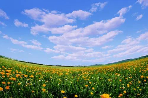 坝上三大景点,坝上草原是丰宁还是围场的