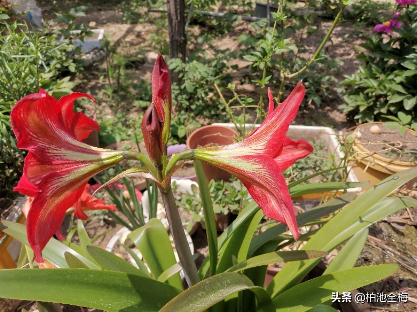 找到了情趣找到了生活