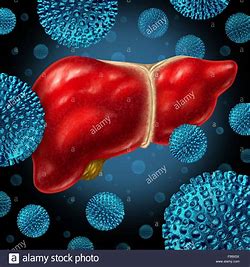 医生,我有乙肝大三阳,吃点什么药?慢性乙肝抗病毒治疗简明指南