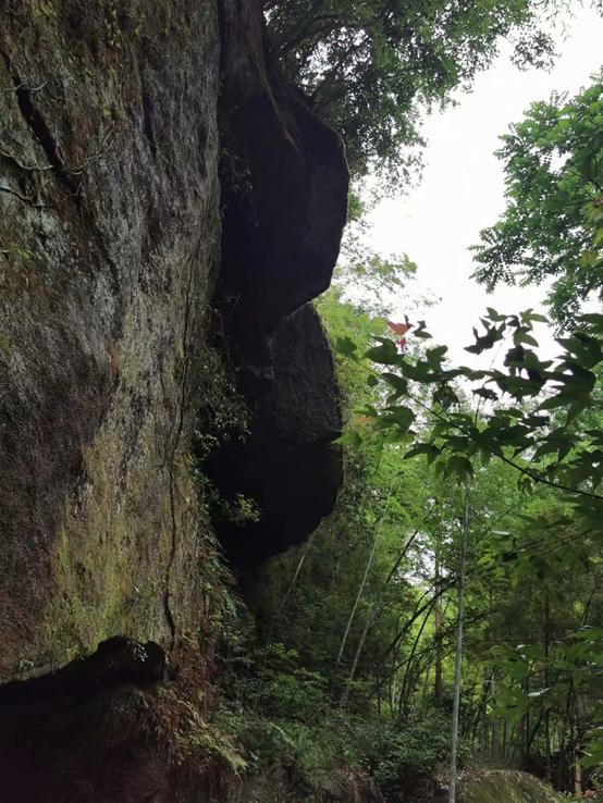 江湖路的风景视频,江湖路上走走停停