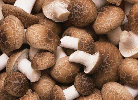 长期吃香菇的好处和坏处有哪些,经常吃香菇有什么危害