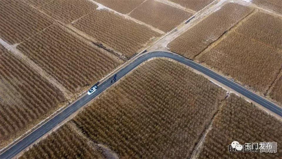 甘肃玉门枸杞项目,甘肃玉门的枸杞怎么样