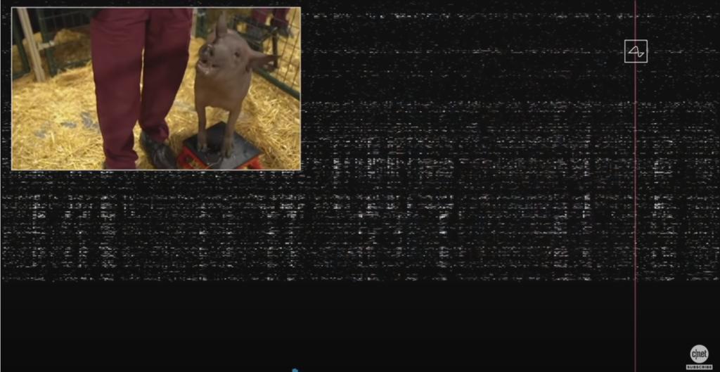 马斯克的脑控技术实际应用场景有哪些？瘫痪患者看到要兴奋了