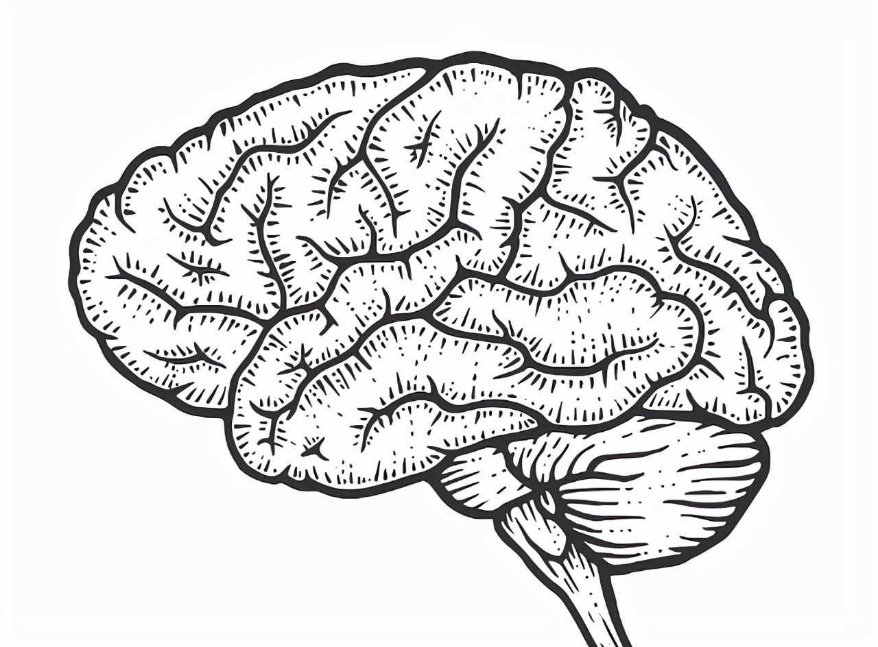 老年人补充的叶酸和孕妇的一样吗,孕妇叶酸补充多了有什么危害