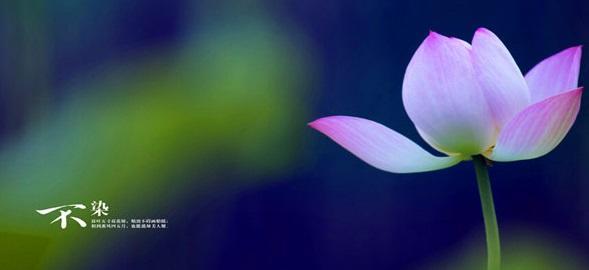 格律诗有些位置为什么可平可仄,格律诗平仄的注意事项