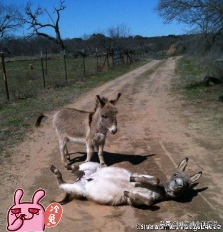 为什么要背100以内的平方表,学习的真谛大道至简