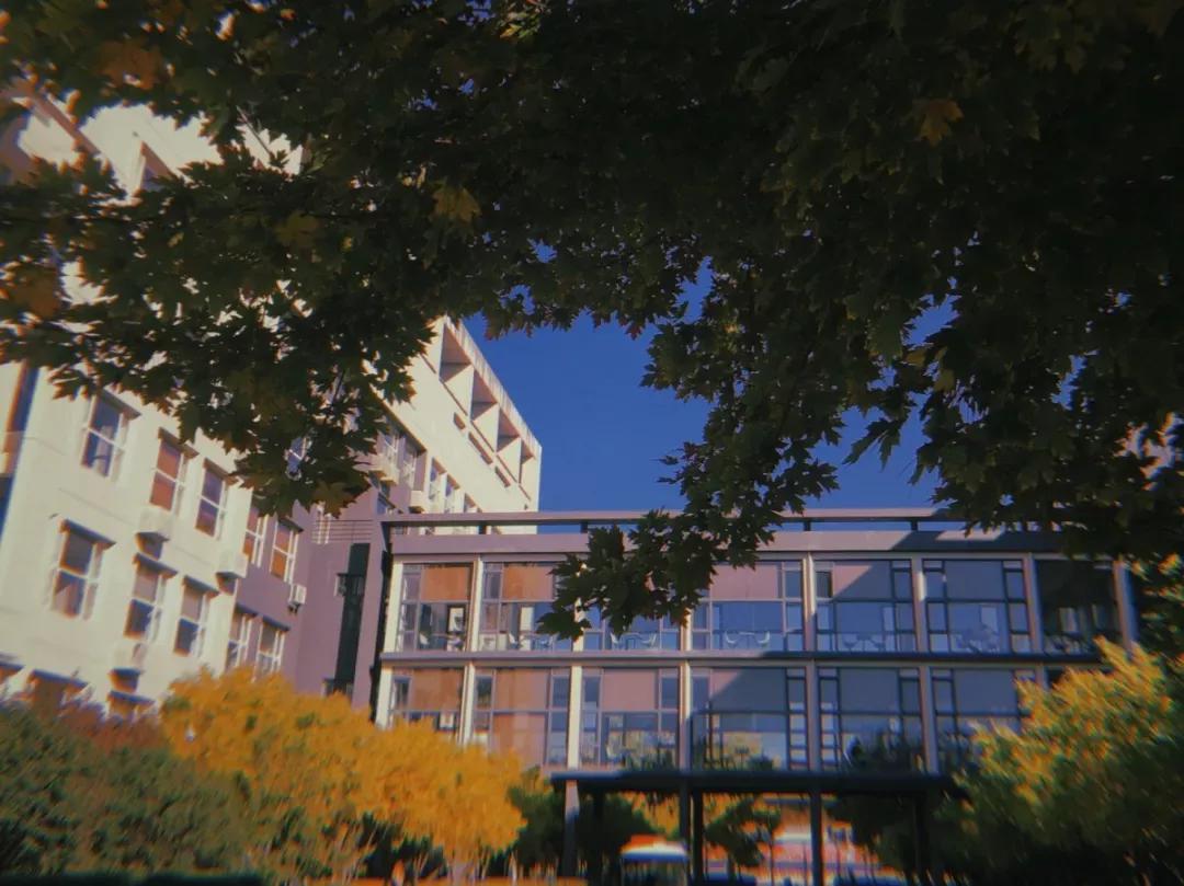 天津普通本科的大学,天津普通高校多少所大学