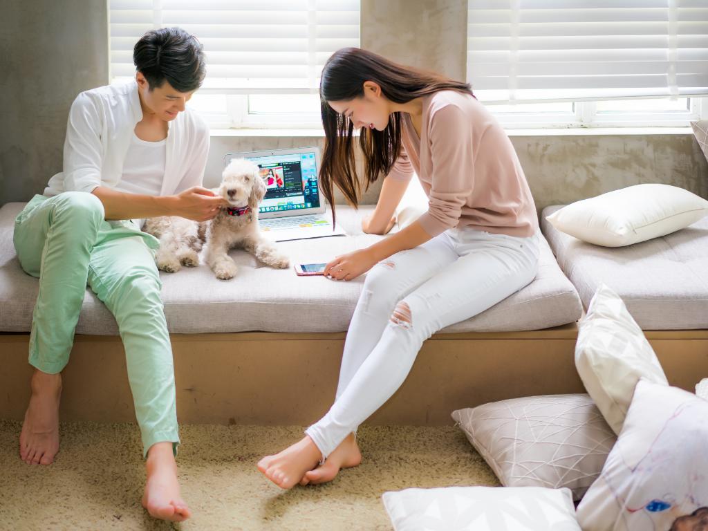 染色体决定孩子性别,染色体与性别关系