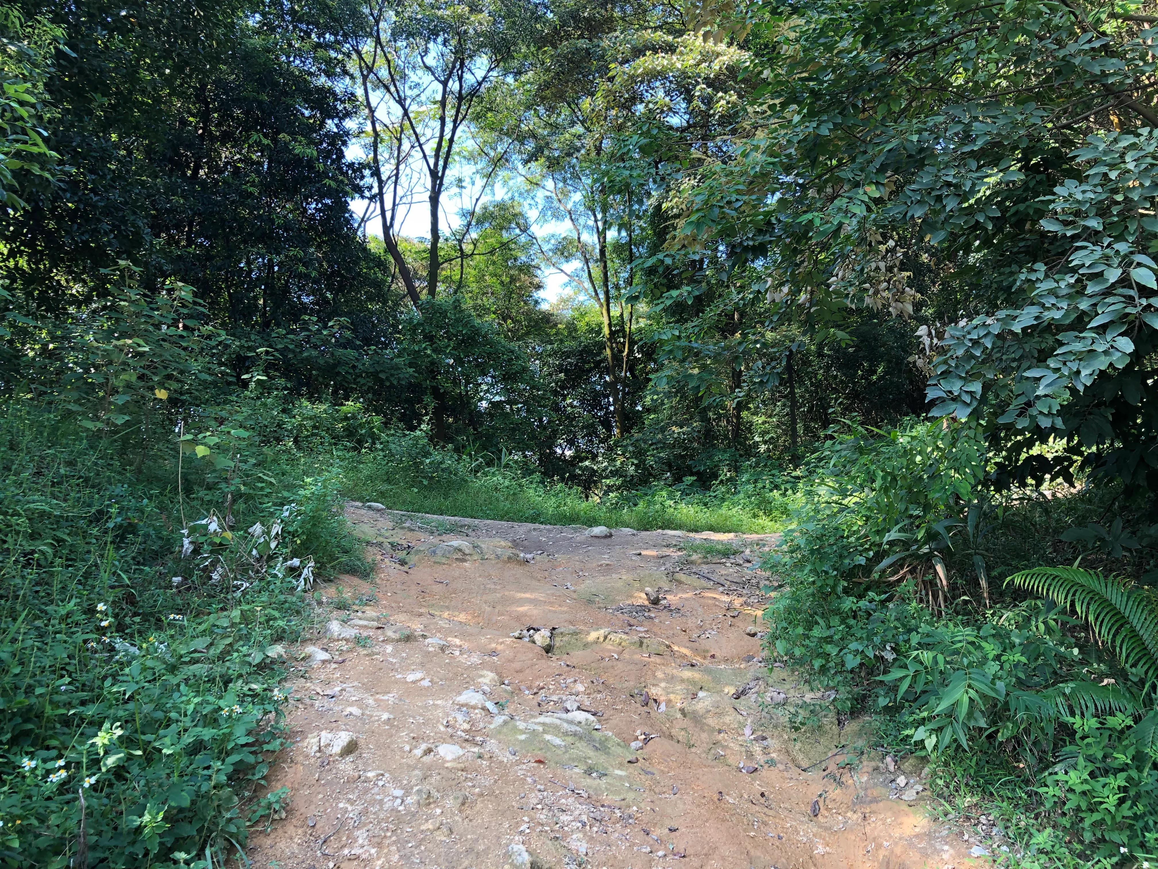 黄埔石牙顶天坑攻略,广州黄埔石牙顶天坑景色