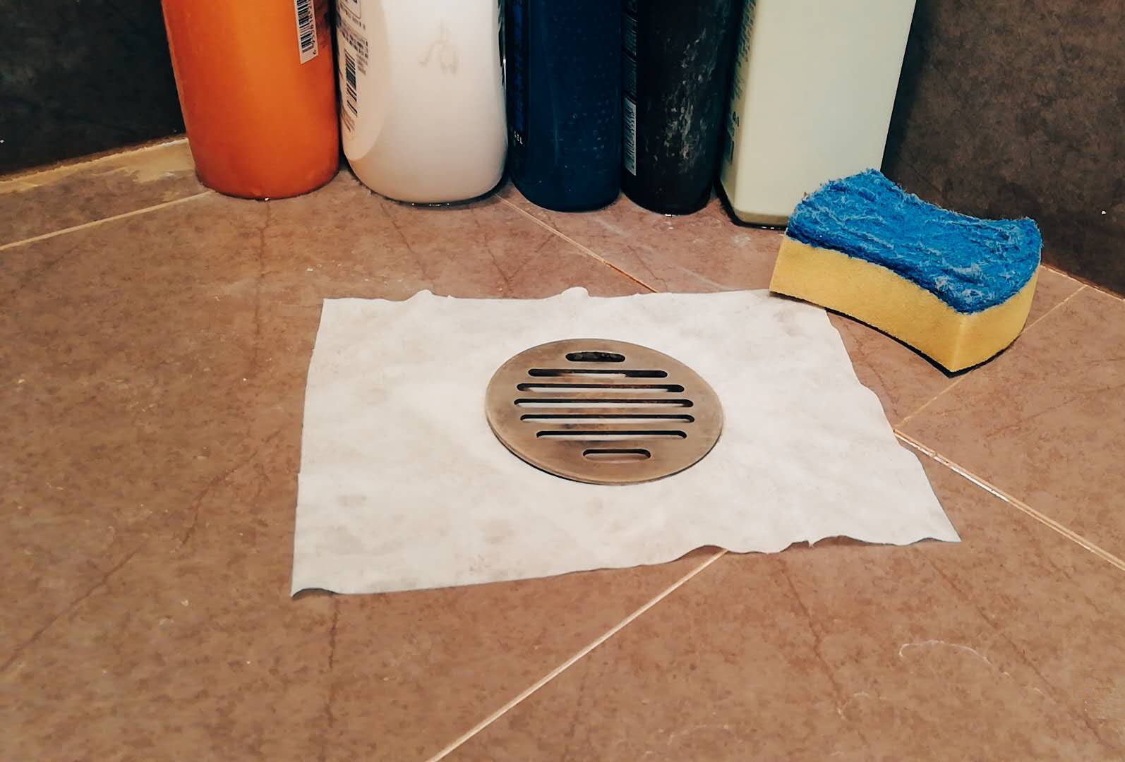 怎样清除房内的宠物毛,养宠物怎么去除房间异味