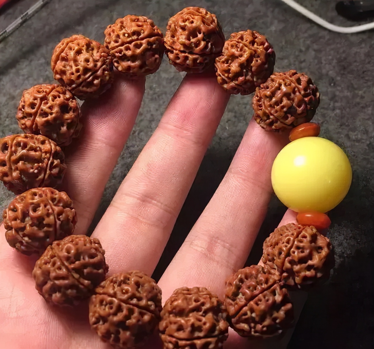 金刚菩提为什么不变色,金刚菩提为什么盘了很久都不红