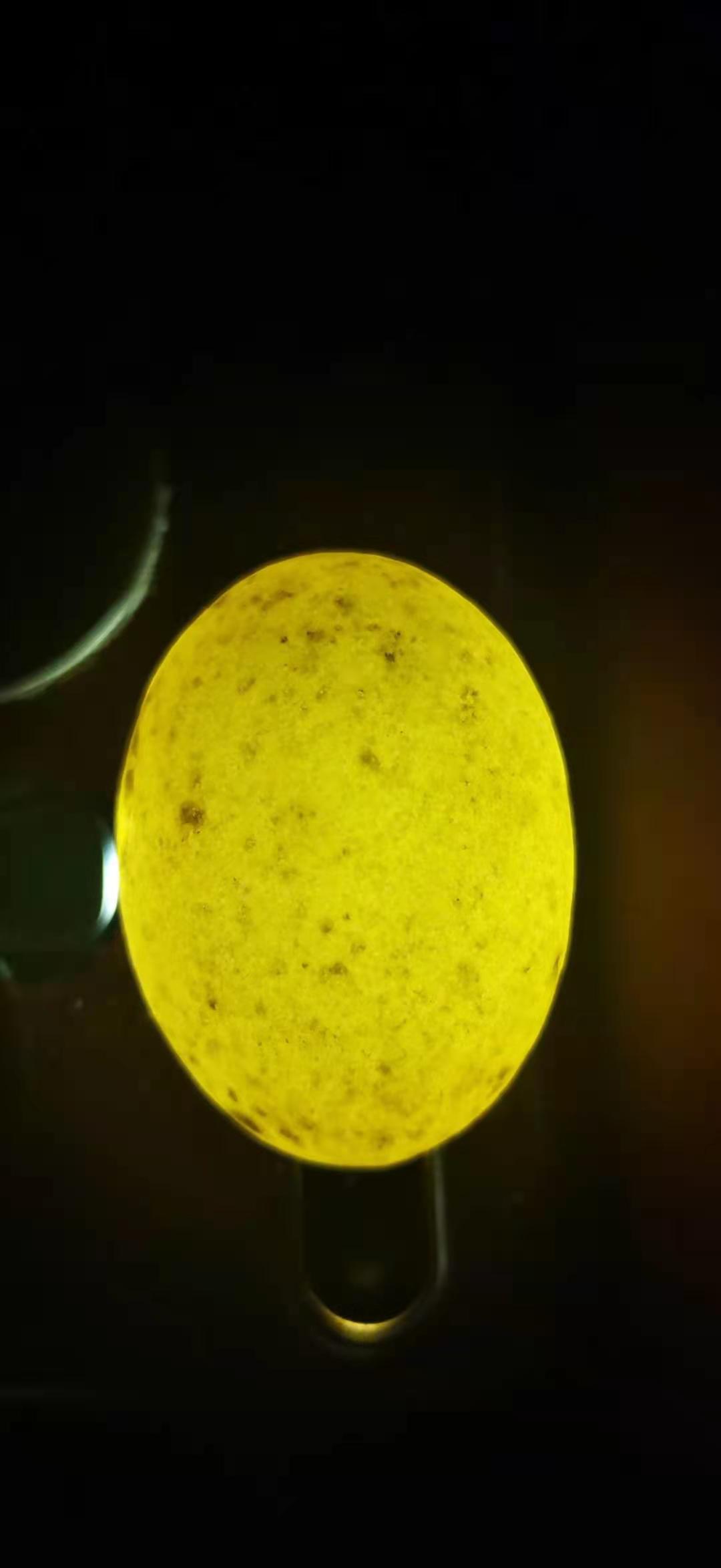 翳珀无事牌吊坠,纯天然钛晶无事牌吊坠