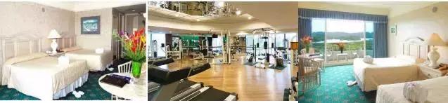 帕劳旅游攻略自由行路线推荐,帕劳旅游攻略全过程