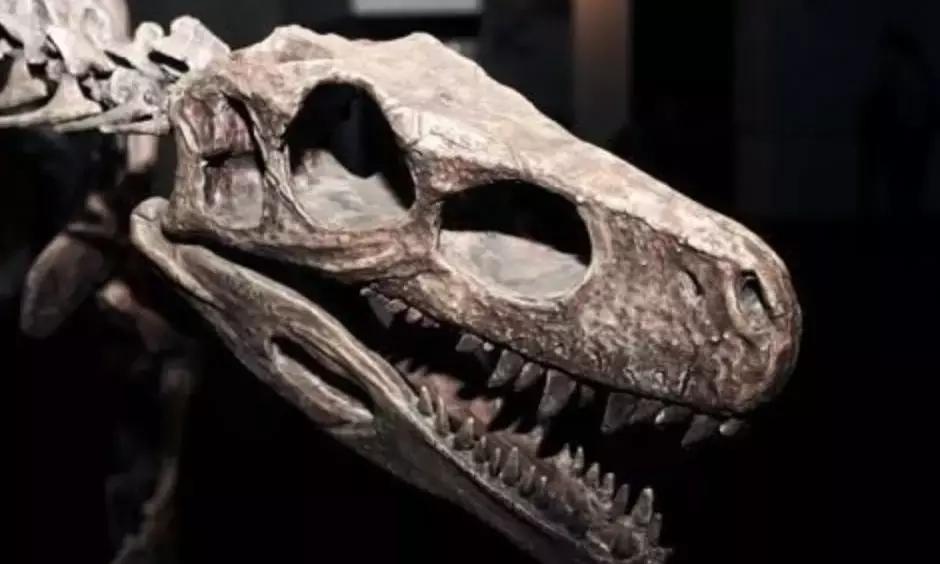 坐拥15座豪宅,50辆豪车,只会用钱哄女人却被绿的悲情影帝