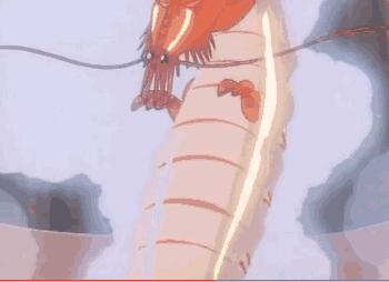 中华小当家动漫经典镜头,小时候的动画片中华小子