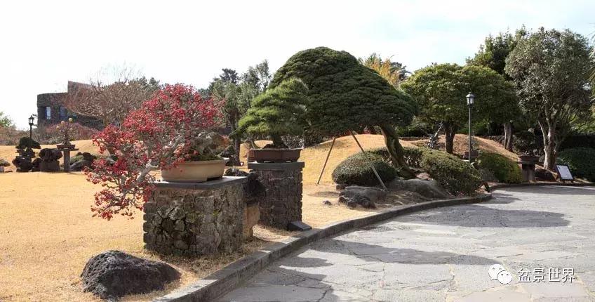 走进韩国思索之苑,这里算得上世界最美的庭园吗