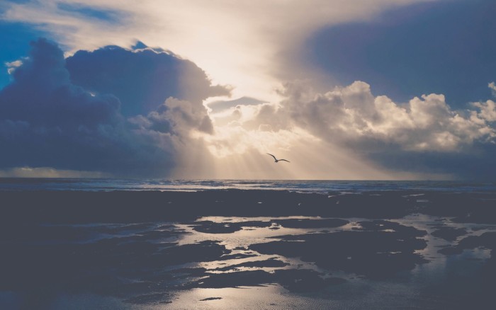 16岁抑郁症治疗方法,重度抑郁症需要去精神病院治疗吗