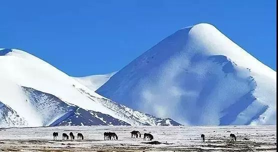 这条最“咸”最彩的公路,治好了我*藏西**的病,解掉了我*疆新**的毒