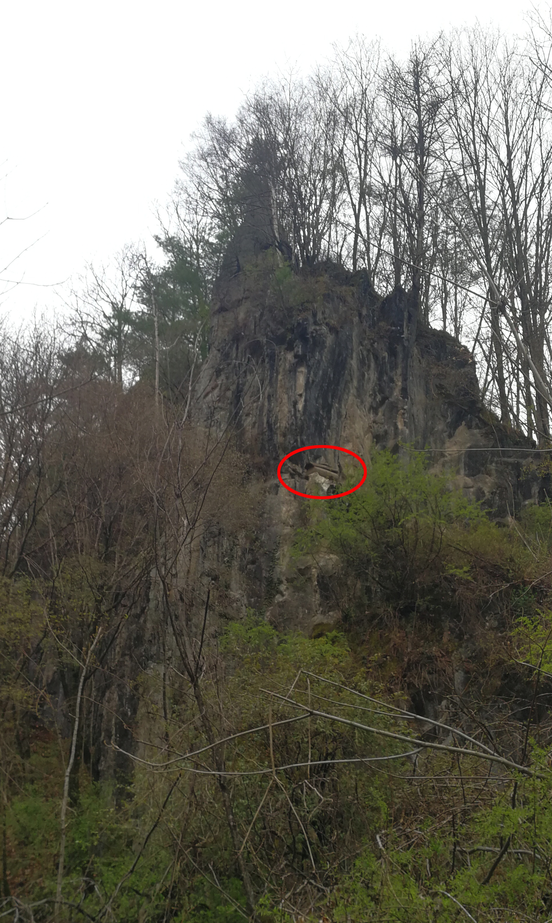 西安周至踏青赏花的路线攻略,周至老县城旅游攻略