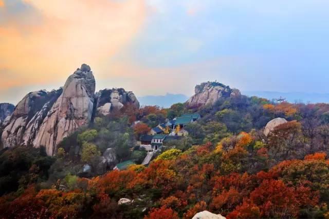 日照直播,日照绿茶价格表