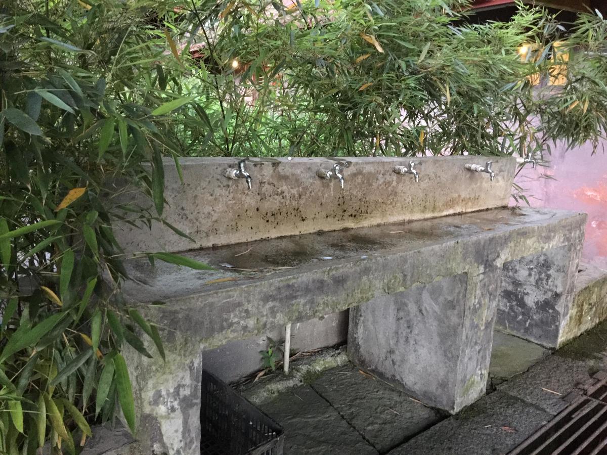 峨眉山登顶佛像,峨眉山登顶记完整版