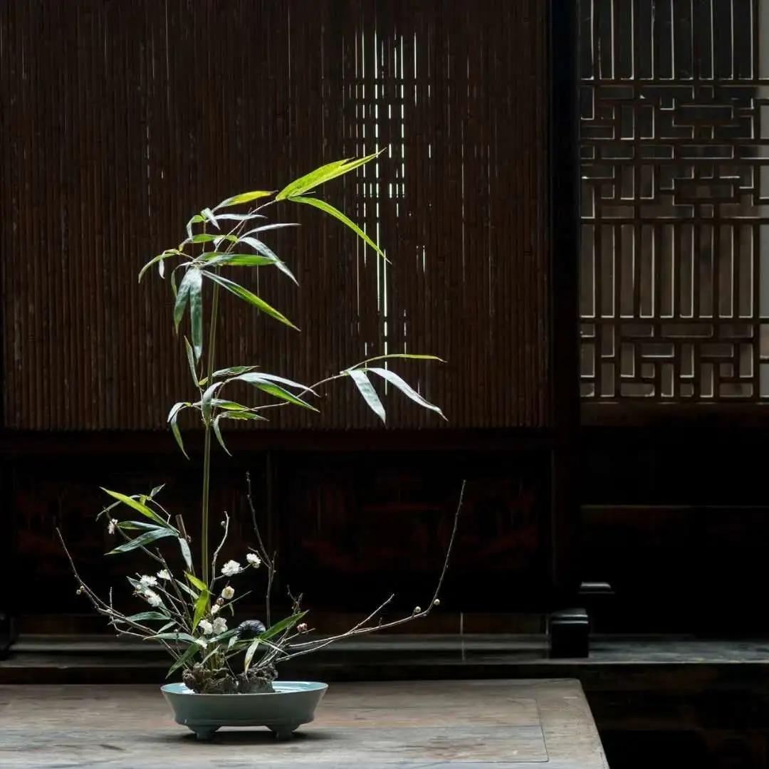 老祖宗留下的真实经历,老祖宗留下的五大秘密