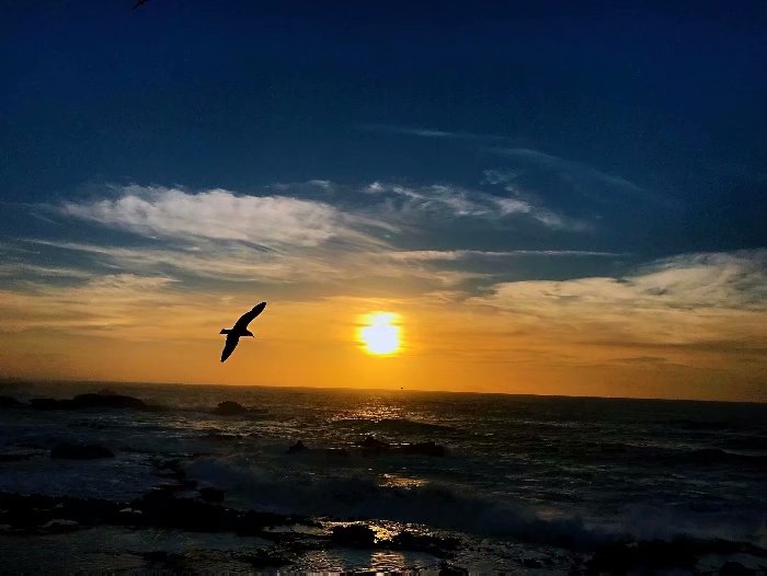 去摩洛哥自由行攻略,摩洛哥游玩自由行攻略