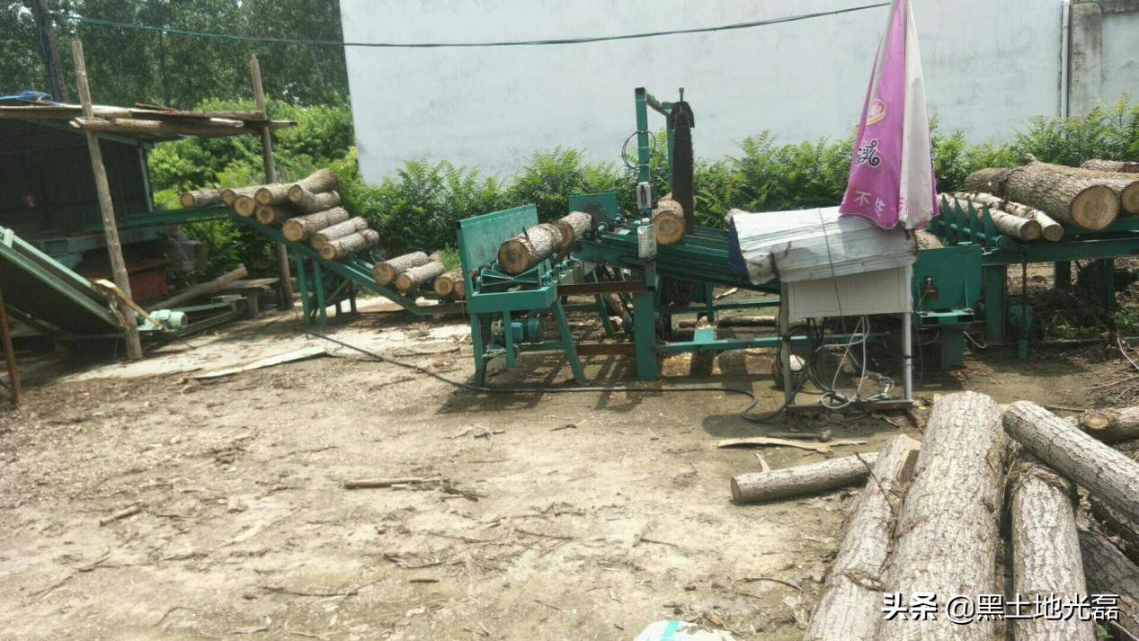 农村烂木头值钱吗,关于农村没人要的木头的视频