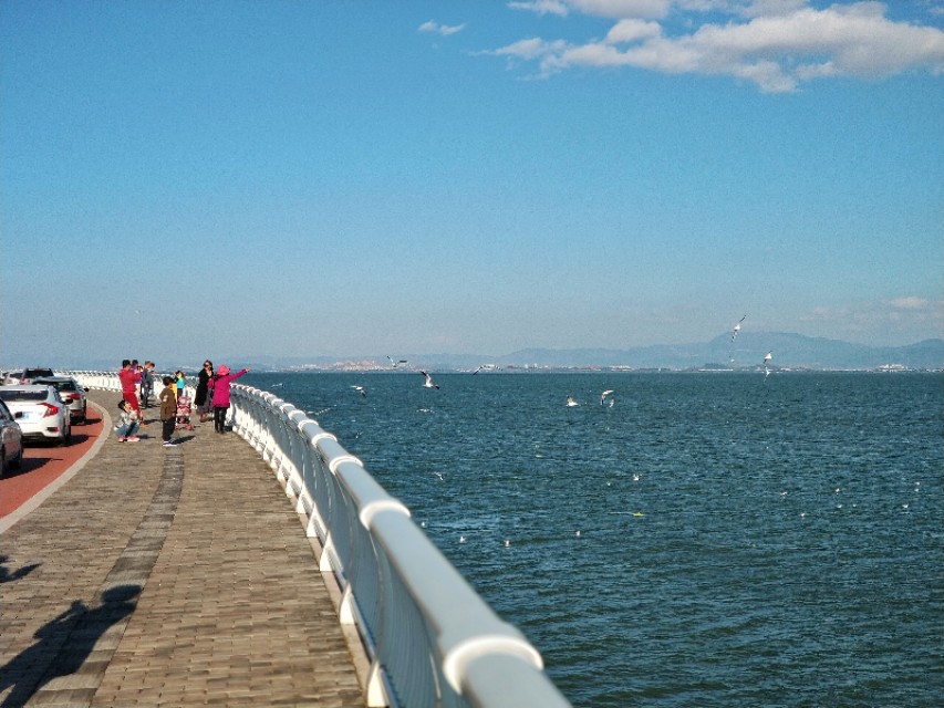 高原明珠滇池,美丽的高原明珠青海湖