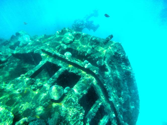 一定是特别的缘分——帕劳，再遇见「周若雪Patty」·上