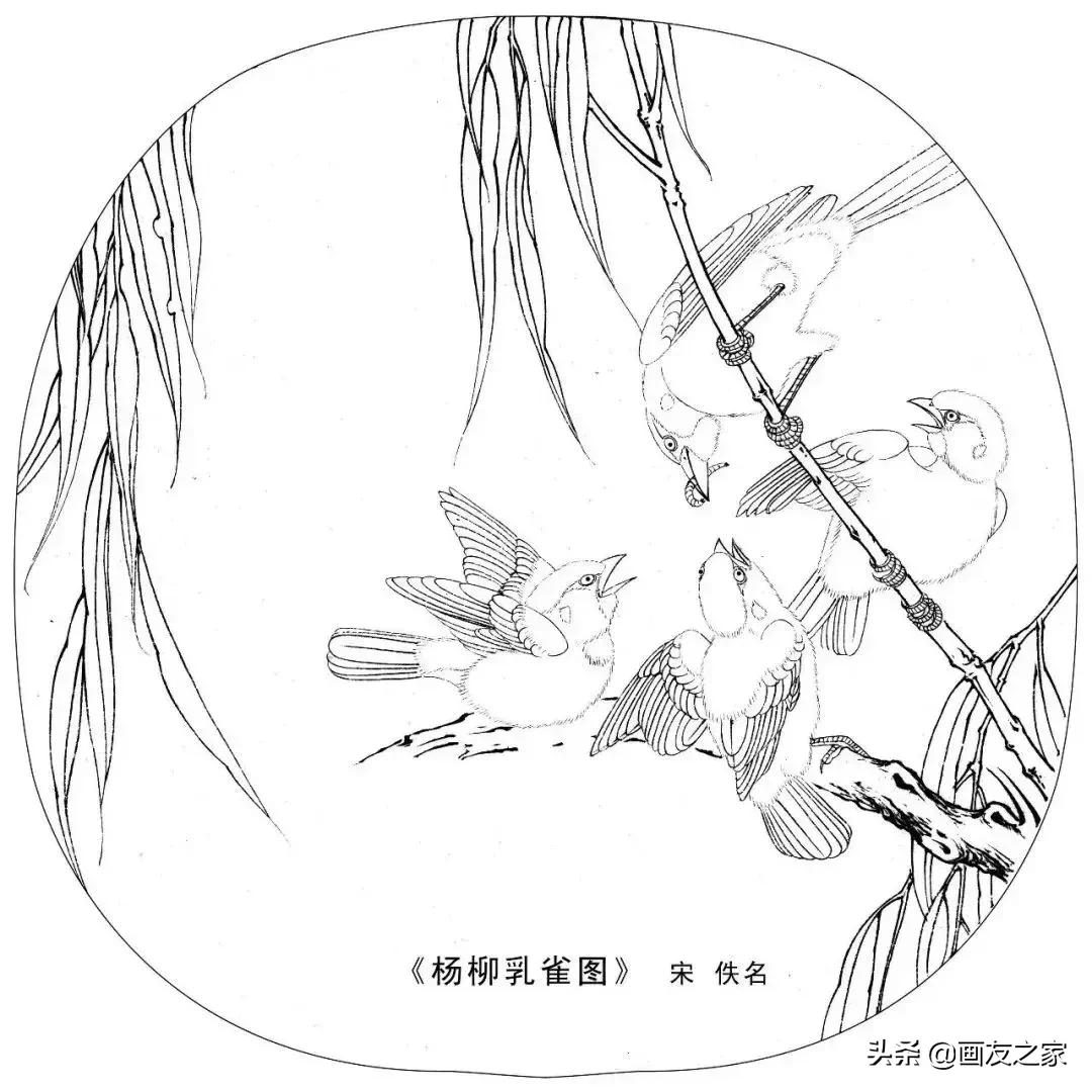 宋花鸟工笔画高清大图临摹过程,宋画工笔画花卉上色教程