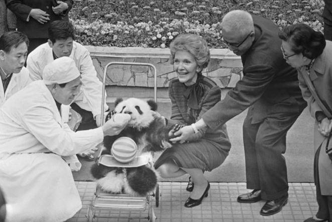 尼克松访华，假装说喜欢烟盒上熊猫图案，周恩来拍板：送两只真的