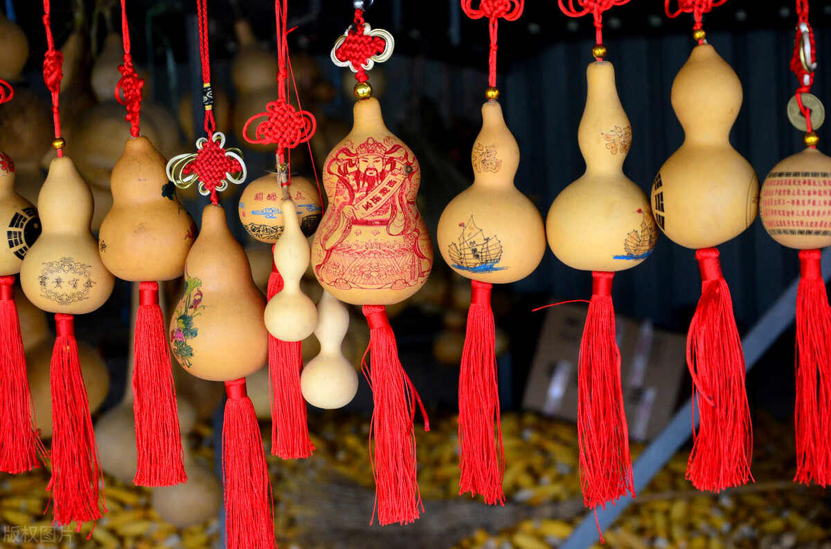 冲一句老话,我在院子里种了棵葫芦,等待结出“葫芦娃”