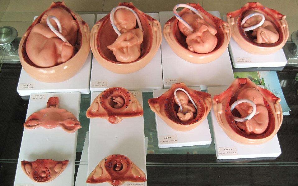 怀孕到底有多辛苦只有妈妈才知道,怀孕真辛苦