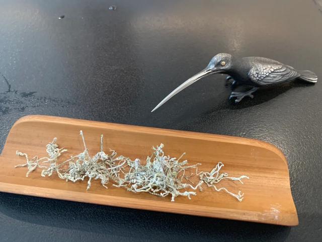 来张家界需要玩什么,来张家界旅游带什么东西比较好