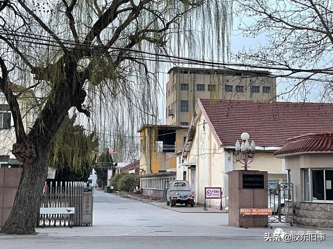 莱阳所有的国企有哪些,莱阳四大龙头企业