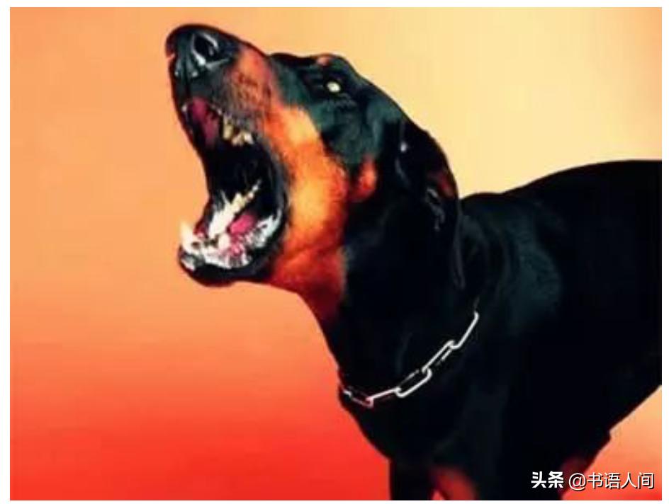 孩子一言不合就哭闹怎么办,宝宝一言不合就发脾气是什么原因