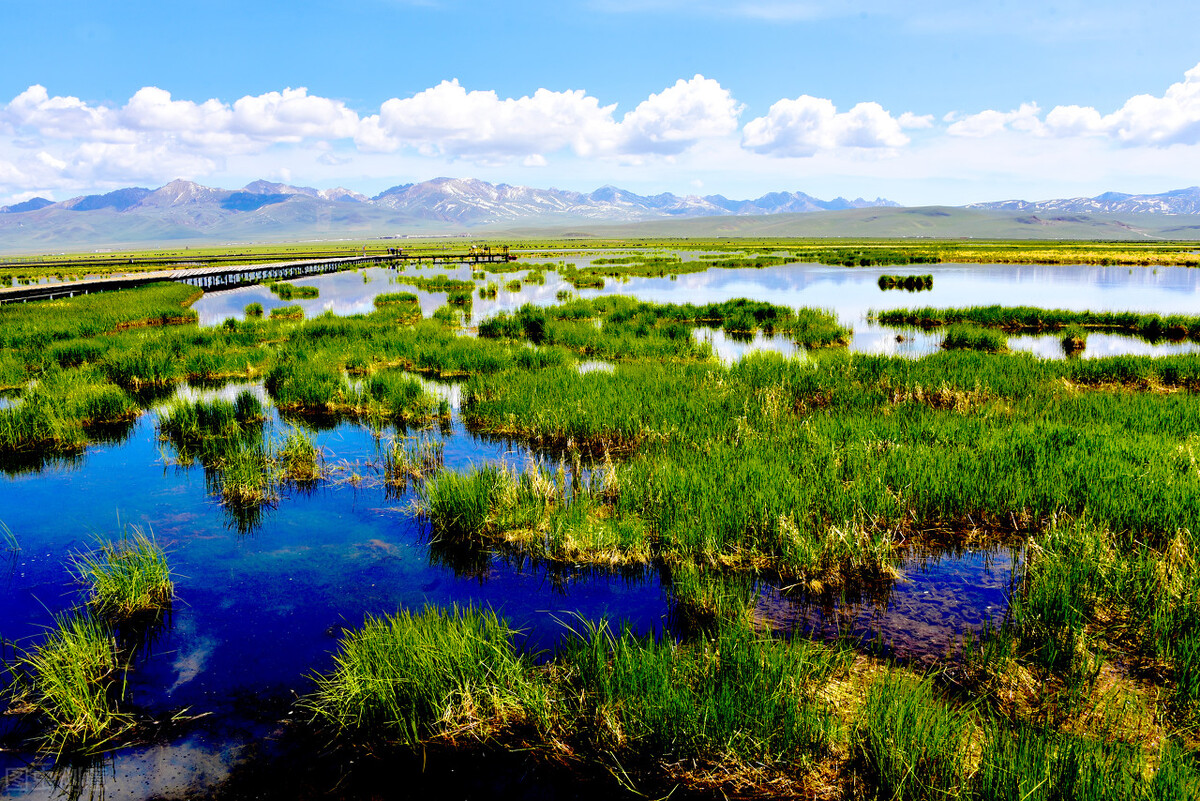 川西甘南路书,兰州到甘南川西自驾游路书