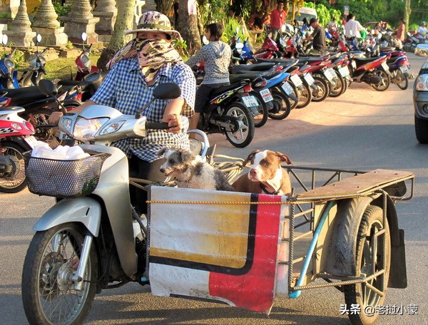 泰国摩托车的8种神奇用途