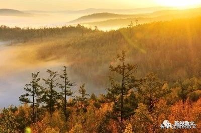 回乡遇到小学同学，听说当年经常骂架的“三王子”现在特不爱说话