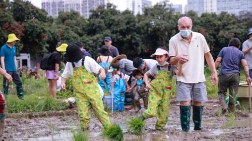 广州周末带娃好去处免费,广州遛娃的地方免费景点