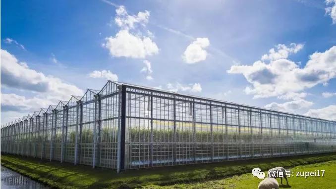 小型温室大棚用什么样的大棚,塑料大棚对比玻璃大棚