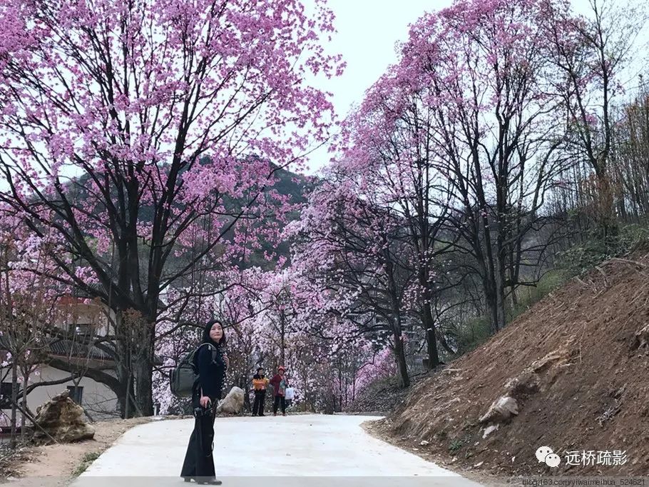 药王谷里觅旧迹（原图文）