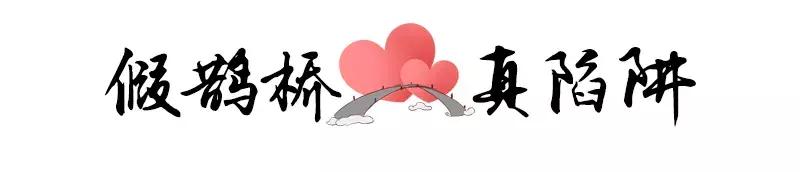 鹊桥陷阱,假红娘的骗局视频